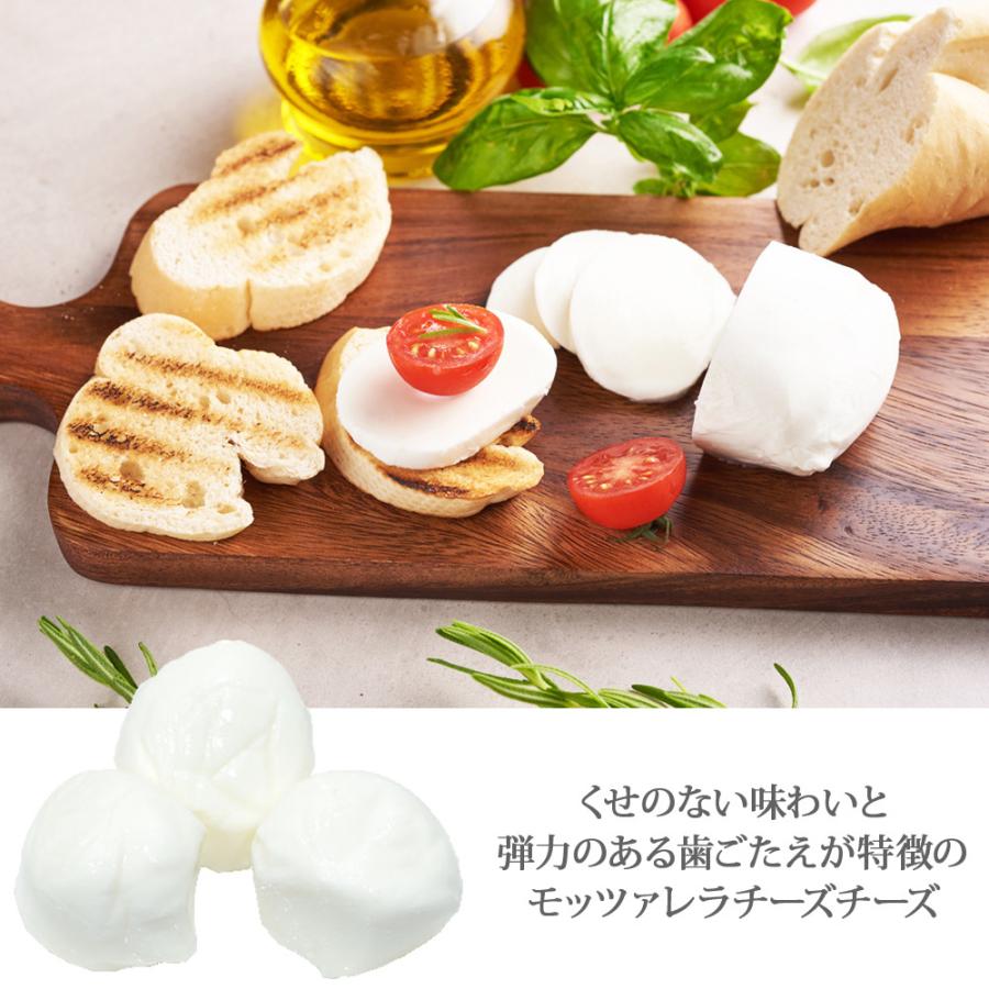 BEL GIOIOSO ベル ジョイオーゾ フレッシュ モッツァレラ