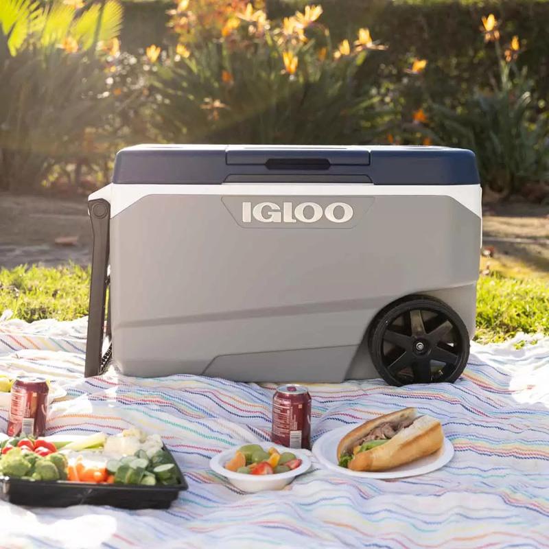 igloo IGLOO イグルー マックスコールド 90クォート 85L igloo IGLOO イグルー マックスコールド 90クォート 85L