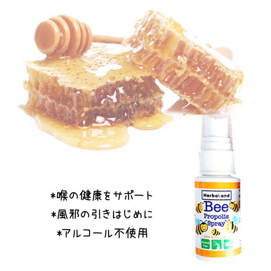 コストコ（Costco） プロポリス スプレー 30mL x 2 本セット Bee