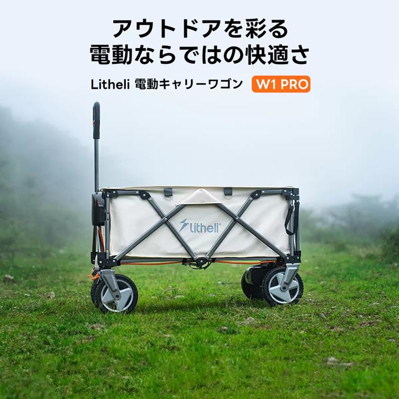 Litheli 電動キャリーワゴン W1 Pro 66352 電気駆動 速度調節 防水