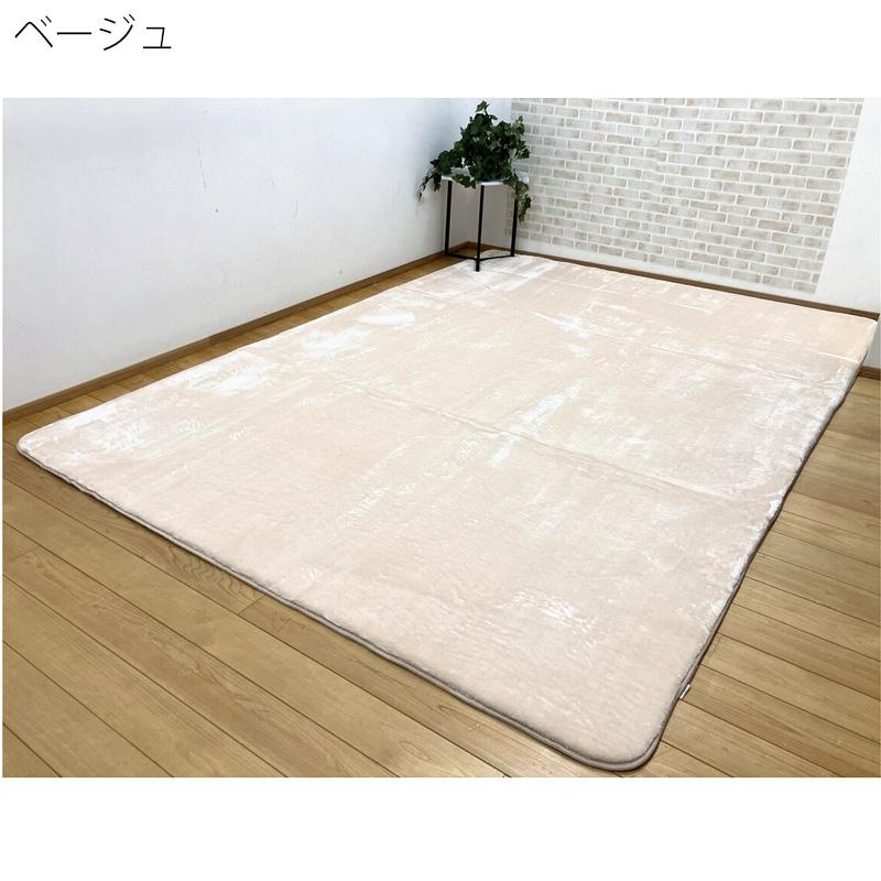 昭和西川 極厚 フランネル ラグ 200x270 75501 ふかふか やわらか 秋