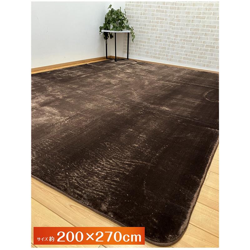 昭和西川 極厚 フランネル ラグ 200x270 75501 ふかふか やわらか 秋