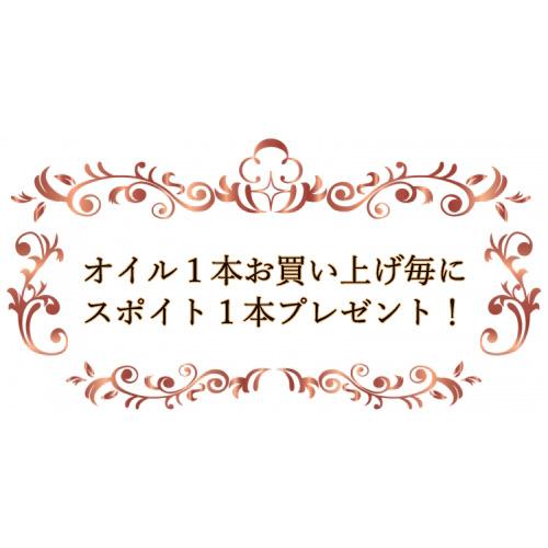 セドナ アンシェントメモリーオイル 夢の実現シリーズ New Career 新しい仕事 15ml カタログプレゼント｜caramelcafe｜05