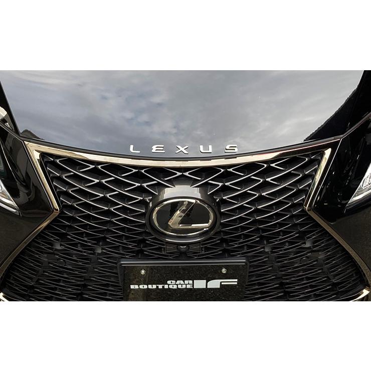 レクサス NX用 (LEXUS 文字) カスタムロゴエンブレム2色（クローム 