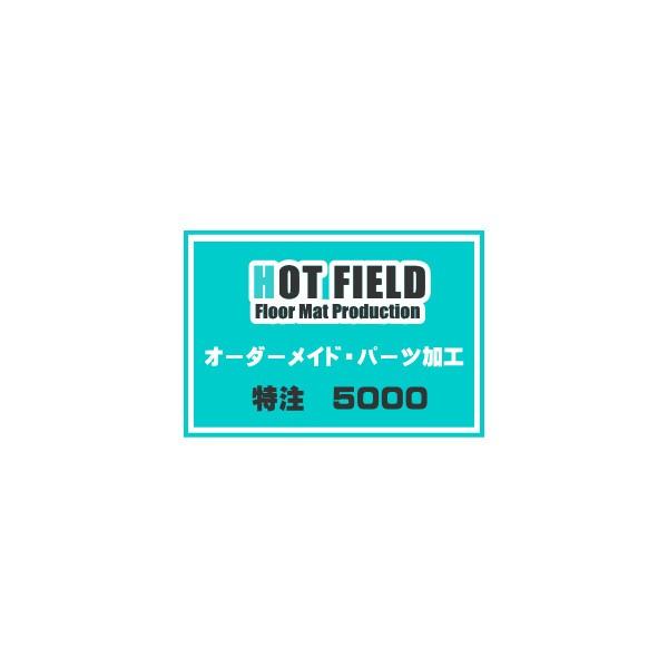 ホットフィールド／特注オーダーメイド販売／５０００ | 