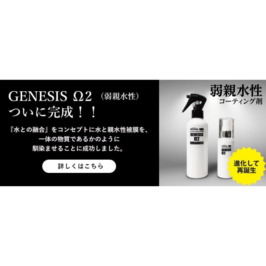 親水性コーティング剤 メンテナンス剤 セット商品 Answer Genesis W2 メンテナンス剤 親水促進剤 セット Genesiscortomega2 Car Clinic 通販 Yahoo ショッピング