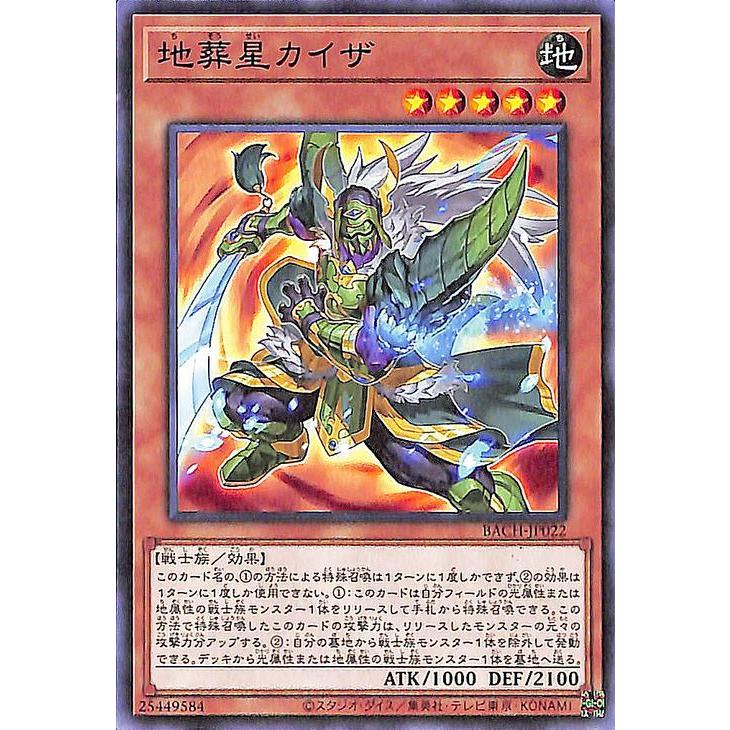 遊戯王オフィシャルカードゲーム デュエルモンスターズ 遊戯王カード 
