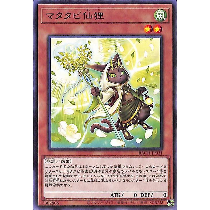 遊戯王オフィシャルカードゲーム デュエルモンスターズ 遊戯王カード