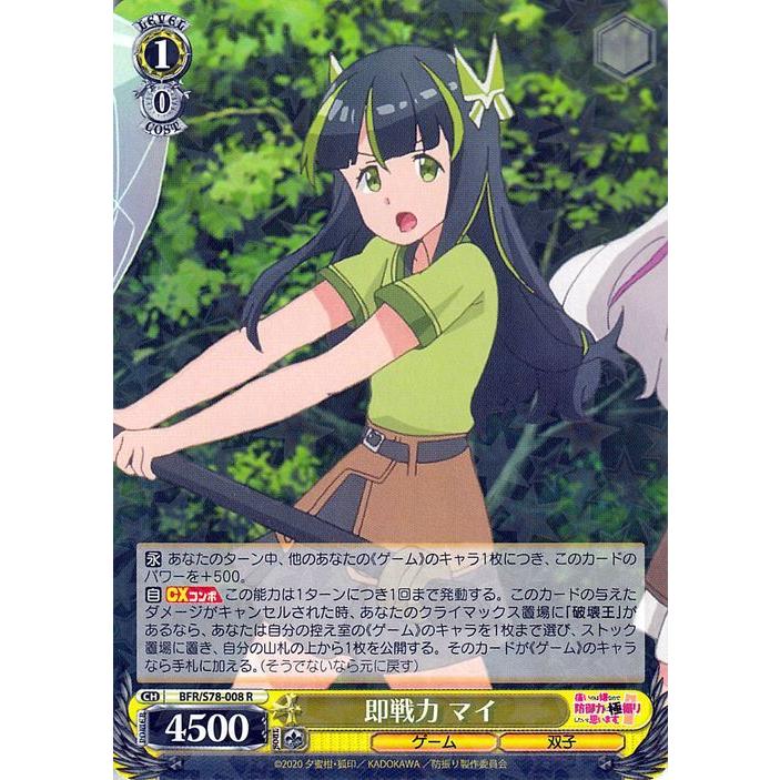 ヴァイスシュヴァルツ 痛いのは嫌なので防御力に極振りしたいと思い