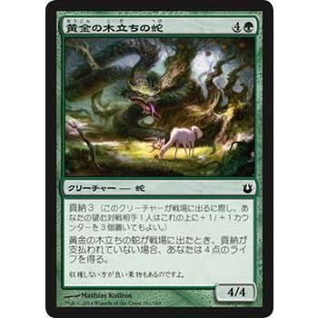 Magic: The Gathering マジック・ザ・ギャザリング 黄金の木立ち Magic: The Gathering マジック・ザ・ギャザリング 黄金の木立ち