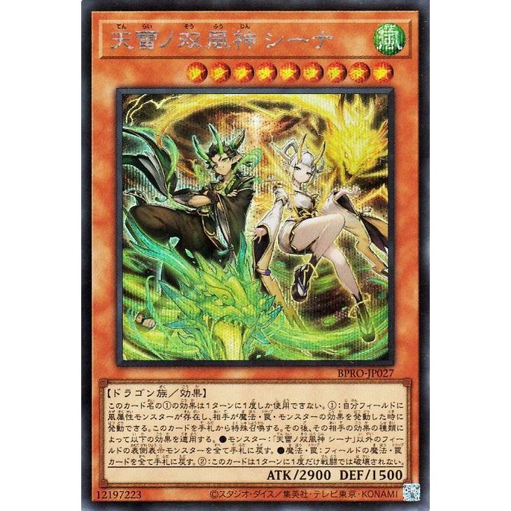 遊戯王オフィシャルカードゲーム デュエルモンスターズ 遊戯王カード