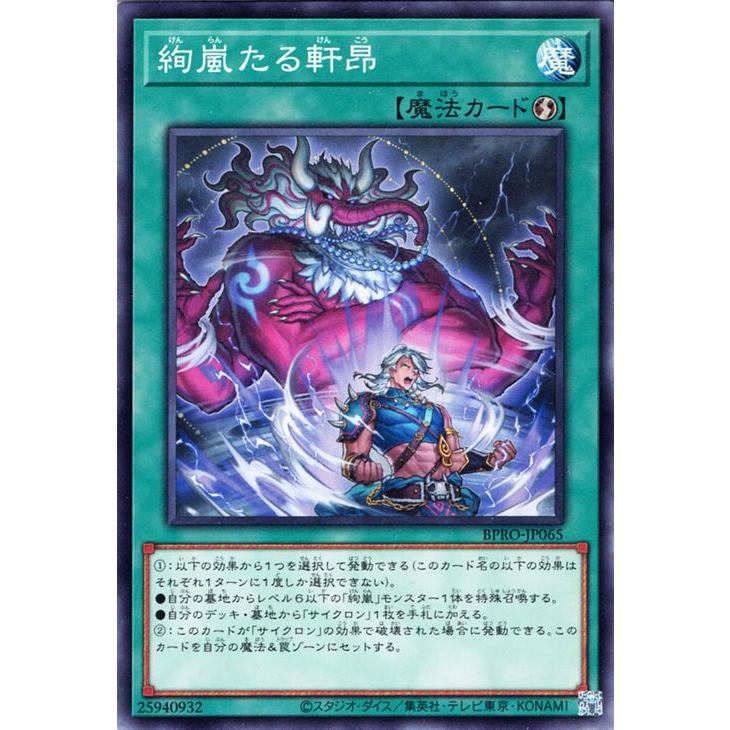 遊戯王オフィシャルカードゲーム デュエルモンスターズ 遊戯王カード 