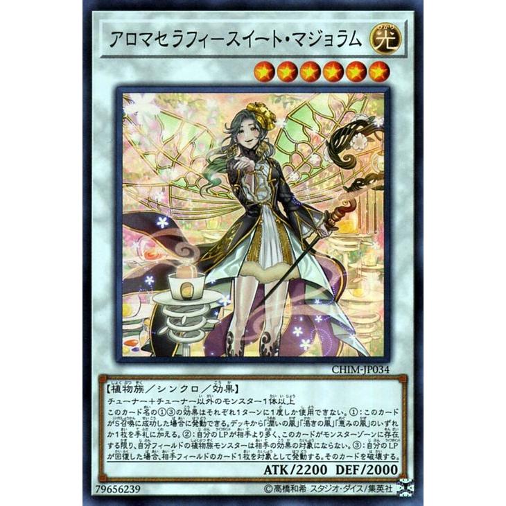 遊戯王オフィシャルカードゲーム デュエルモンスターズ 遊戯王カード
