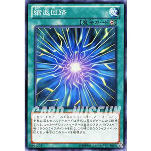遊戯王オフィシャルカードゲーム デュエルモンスターズ 遊戯王カード