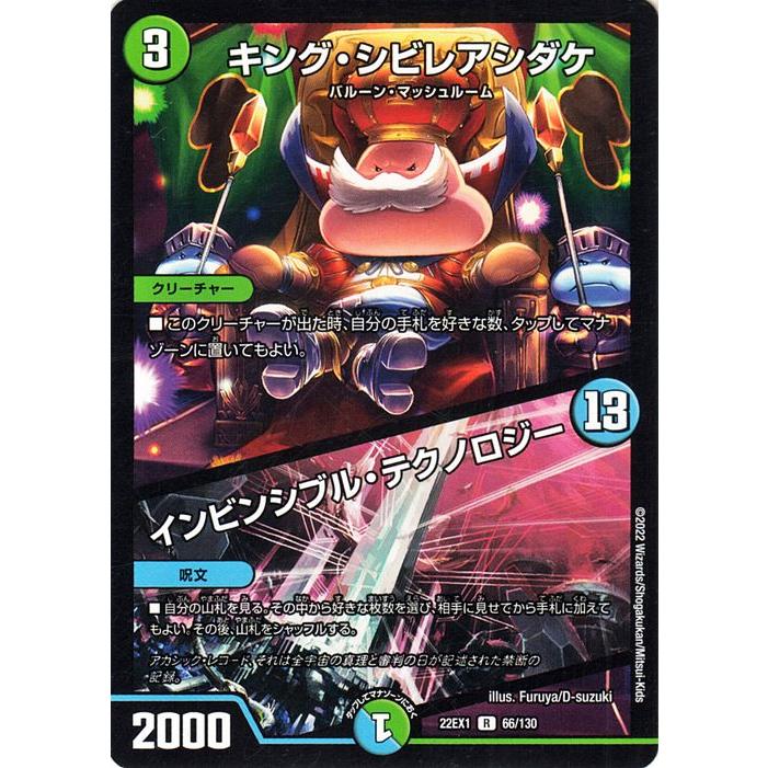 デュエル・マスターズ キング・シビレアシダケ／インビンシブル