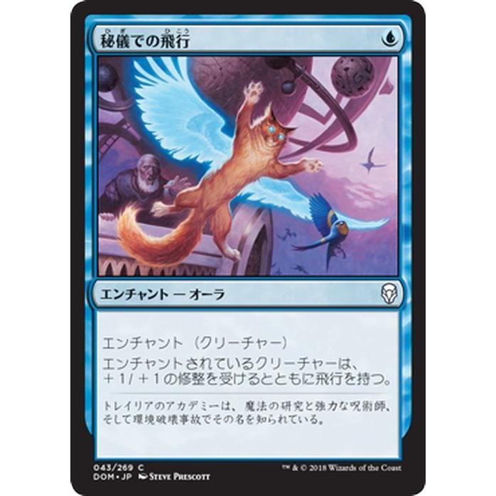 Mtg マジック ザ ギャザリング 秘儀での飛行 コモン ドミナリア Dom 043 Dom 043 C カードミュージアム Yahoo 店 通販 Yahoo ショッピング