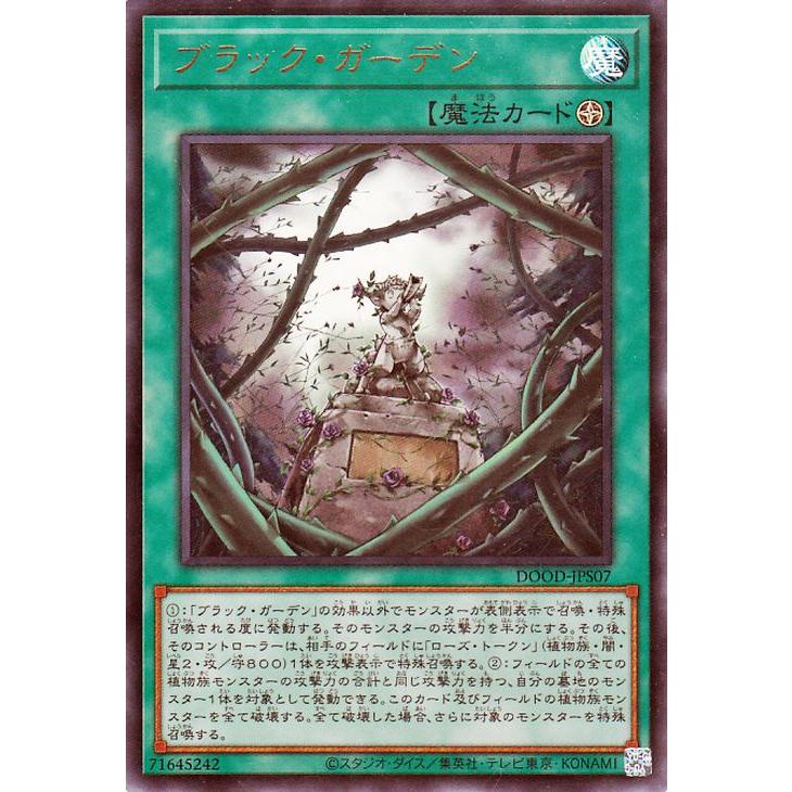 遊戯王 カード Amazon.co.jp: 遊戯王カード ブラックフェザー・アサルト・ドラゴン