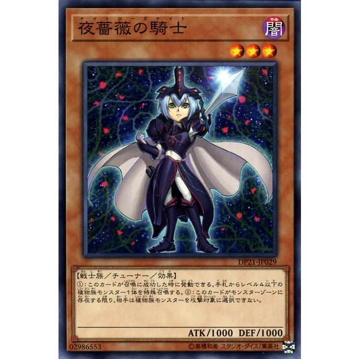 遊戯王オフィシャルカードゲーム デュエルモンスターズ 遊戯王カード