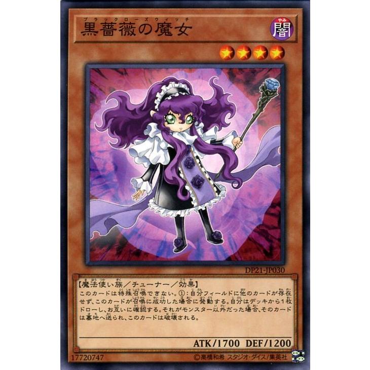 遊戯王オフィシャルカードゲーム デュエルモンスターズ 遊戯王カード