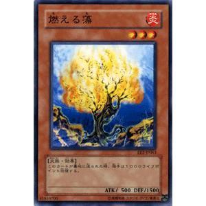 遊戯王デュエルモンスターズ エキスパート2 Amazon | 遊戯王デュエルモンスターズ6 エキスパート2 | ゲームソフト