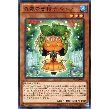 遊戯王オフィシャルカードゲーム デュエルモンスターズ 遊戯王