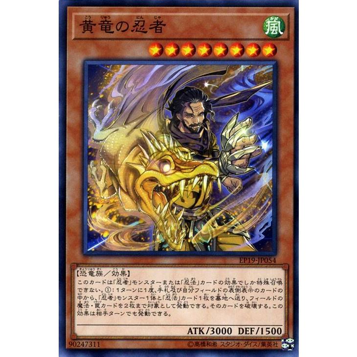 遊戯王オフィシャルカードゲーム デュエルモンスターズ 遊戯王カード