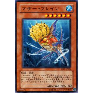 遊戯王オフィシャルカードゲーム デュエルモンスターズ 遊戯王カード