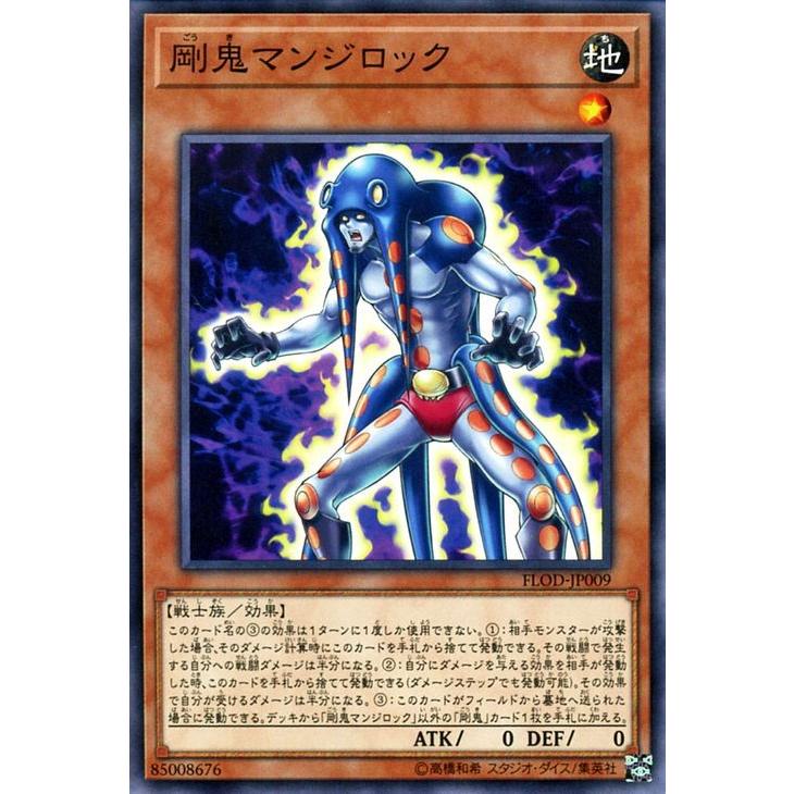 遊戯王オフィシャルカードゲーム デュエルモンスターズ 遊戯王カード