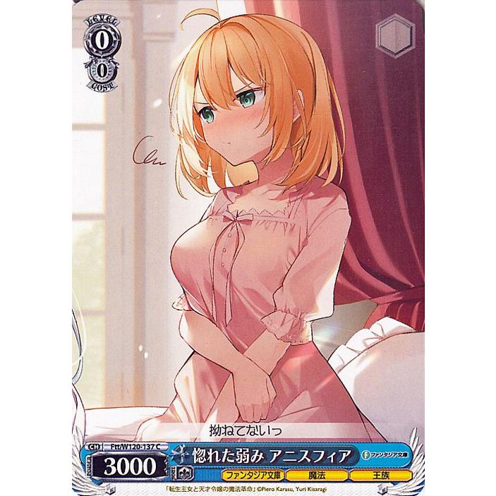 ヴァイスシュヴァルツ 富士見ファンタジア文庫 Vol.2 惚れた弱み アニ 