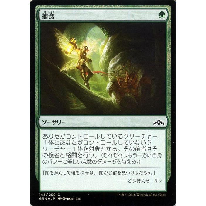 Mtg マジック ザ ギャザリング 捕食 フォイル コモン ラヴニカのギルド Grn F143 日本語版 ソーサリー 緑 Grn F143 C カードミュージアム Yahoo 店 通販 Yahoo ショッピング