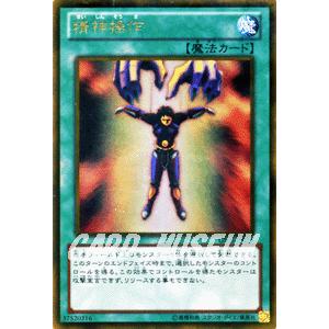 遊戯王オフィシャルカードゲーム デュエルモンスターズ 遊戯王カード