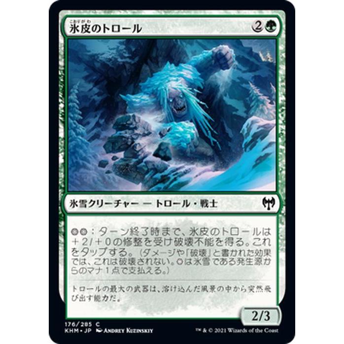 Magic: The Gathering（マジック：ザ・ギャザリング） MTG 氷皮の