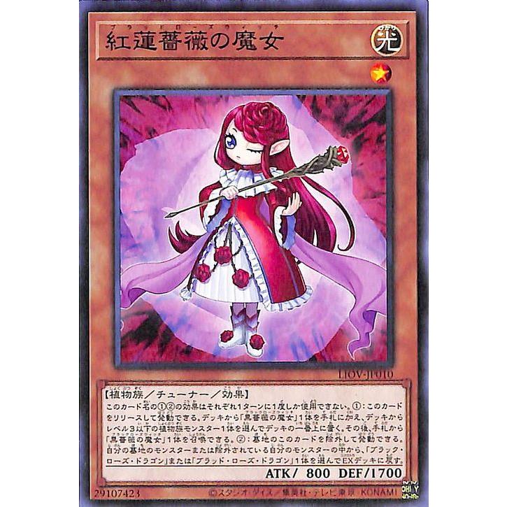 遊戯王オフィシャルカードゲーム デュエルモンスターズ 遊戯王 遊戯王オフィシャルカードゲーム デュエルモンスターズ 遊戯王