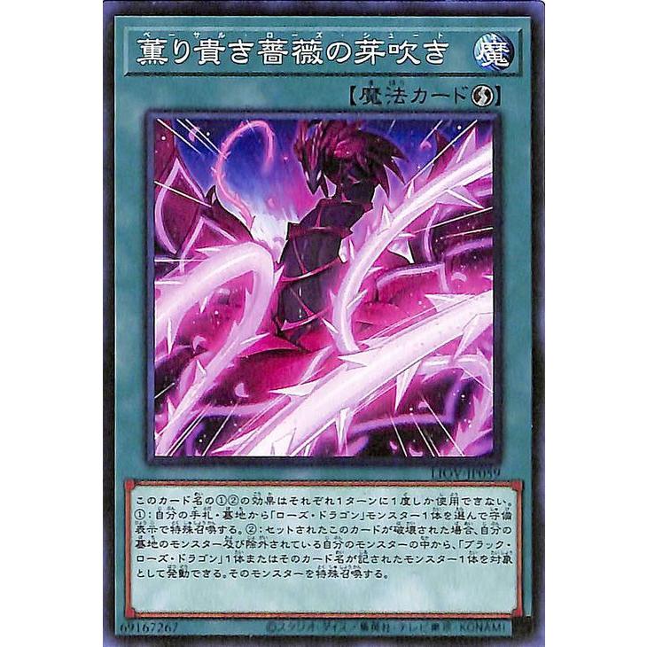遊戯王オフィシャルカードゲーム デュエルモンスターズ 遊戯王カード 