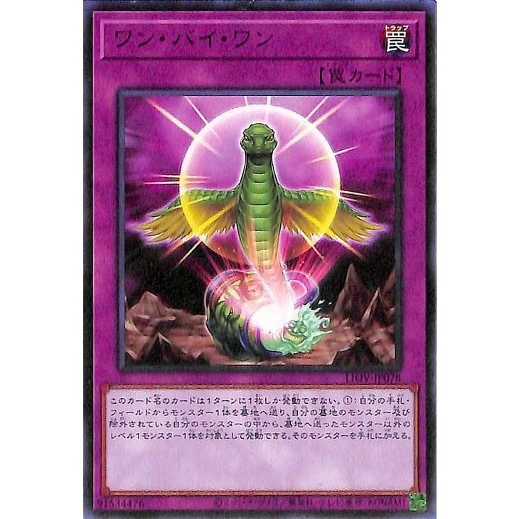 遊戯王オフィシャルカードゲーム デュエルモンスターズ 遊戯王カード 