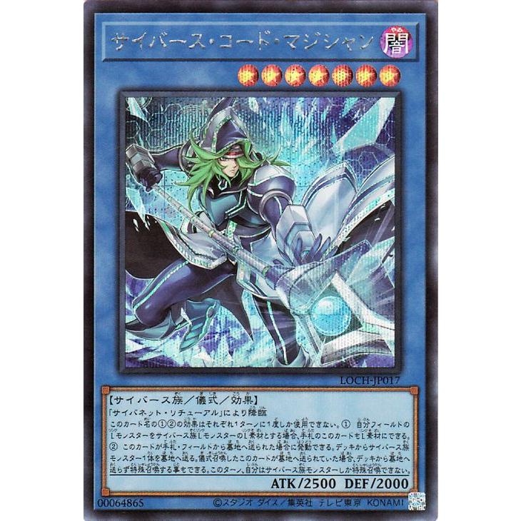 遊戯王オフィシャルカードゲーム デュエルモンスターズ 遊戯王カード
