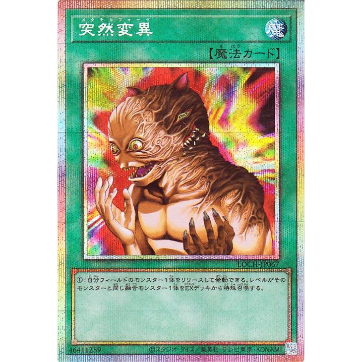 遊戯王OCG デュエルモンスターズ プリズマティック シークレット 1枚 遊戯王オフィシャルカードゲーム デュエルモンスターズ 遊戯王カード