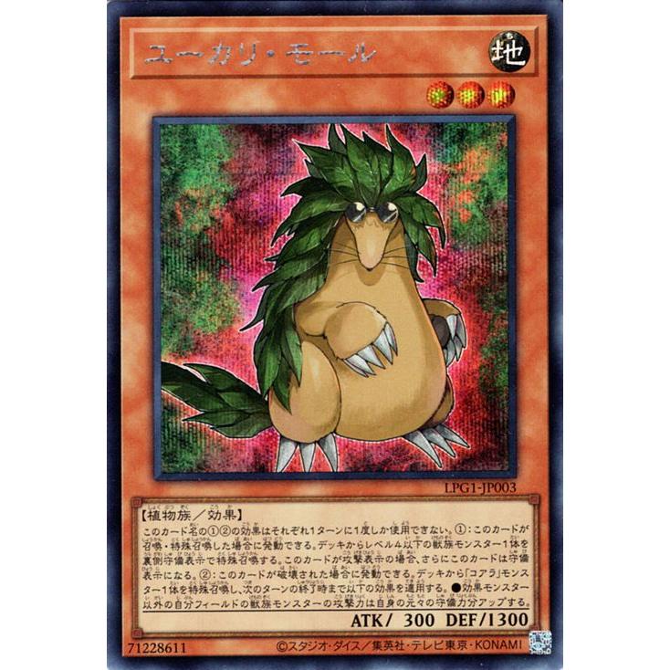 遊戯王オフィシャルカードゲーム デュエルモンスターズ 遊戯王カード