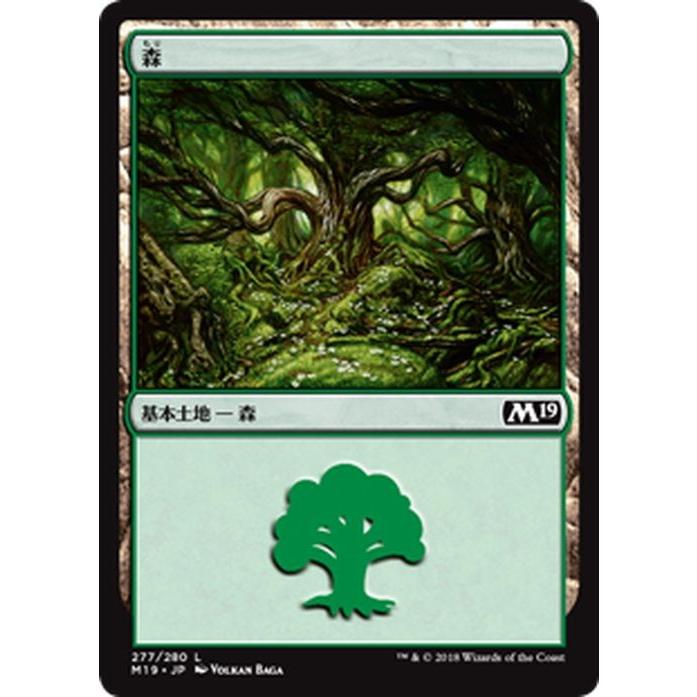 MTG マジック：ザ・ギャザリング 森(基本土地) 基本セット2019(M19-277 