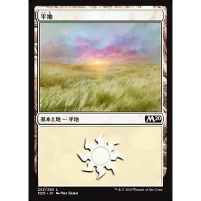 平地 20枚 Magic: The Gathering（マジック：ザ・ギャザリング） MTG 平地(基本