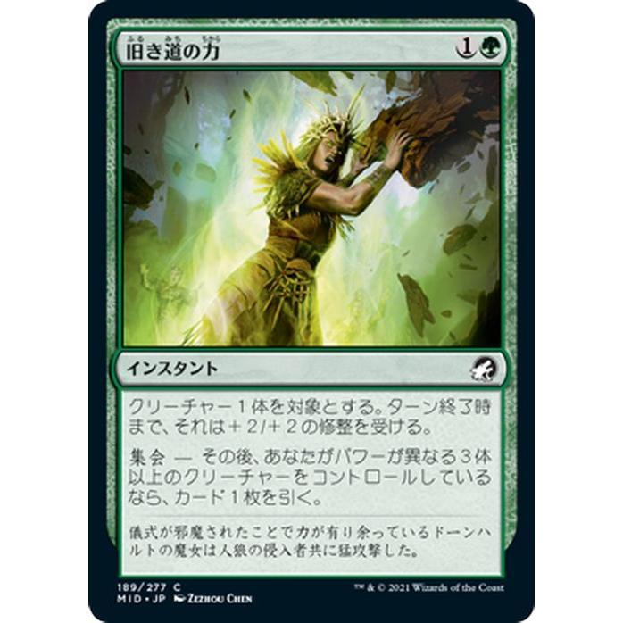 MTGマジックザギャザリングコモンアンコモン緑 Amazon.co.jp: マジックザギャザリング MTG 緑 日本語版 怨恨