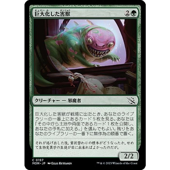 MTGマジックザギャザリングコモン黒 Amazon.co.jp: マジックザギャザリング MTG 黒 日本語版 殺し/Snuff