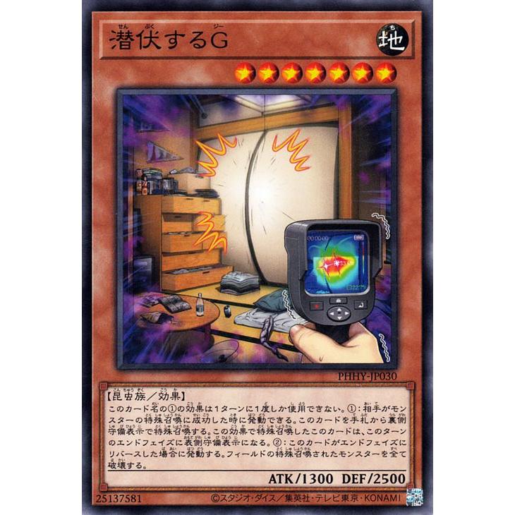 遊戯王オフィシャルカードゲーム デュエルモンスターズ 遊戯王カード