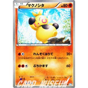 ポケモンカードゲームBW/マクノシタ/第8弾「ライデンナックル」｜card-museum