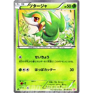 Pokemon（ポケモン） ポケモンカードゲームBW/ツタージャ/コンセプト