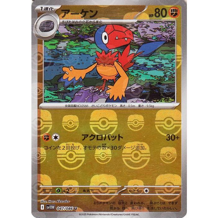 psa10 マスボ　アーケン スカーレット&バイオレット ホワイトフレア ポケモンカードゲーム ポケモンカードゲームSV sv11W 拡張パック