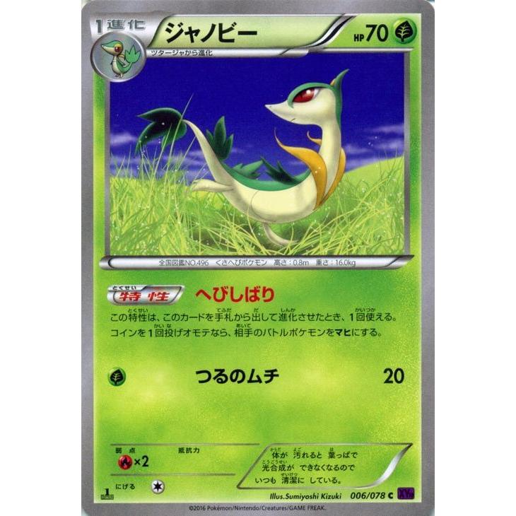 ポケモンカードゲームxy ジャノビー めざめる超王 Pmxy10 シングルカード Pmxy10 006 C カードミュージアム Yahoo 店 通販 Yahoo ショッピング