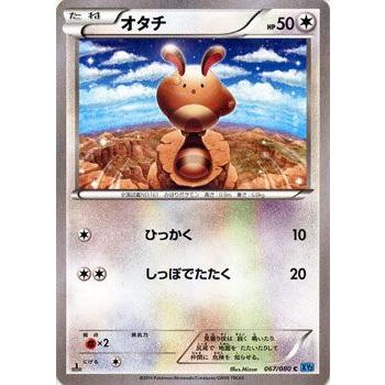 ポケモンカードゲームxy オタチ Xy2 ワイルドブレイズ Pmxy2 067 C カードミュージアム Yahoo 店 通販 Yahoo ショッピング