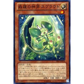 遊戯王オフィシャルカードゲーム デュエルモンスターズ 遊戯王カード