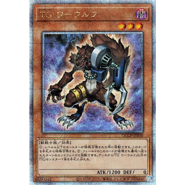 遊戯王オフィシャルカードゲーム デュエルモンスターズ 遊戯王カード 
